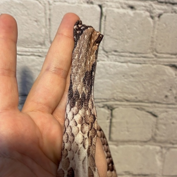 PRETTYLITTLETHING Shorts Size 2 Snakeskin Snake Print - Picture 6 of 6